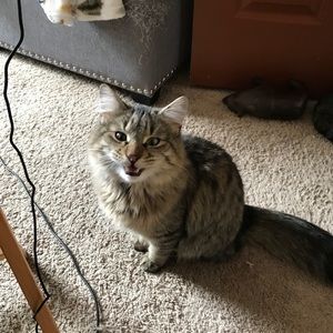 Meet your Posher, Patti